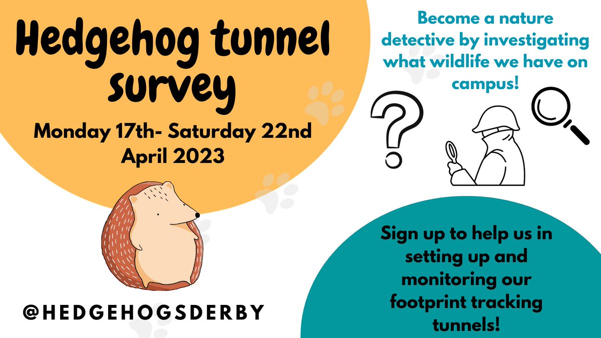HedgehogsDerby's tweet photo. Get ready for 2023's first official @DerbyUni  footprint tracking tunnel survey! 🦔🐾🔎

As hedgehogs are just starting to come out of their long winter hibernations, we want to see where they are most active so we know how to better help them.

Sign up : https://t.co/4MUWaD8GM5 https://t.co/NvZG9BdhMB