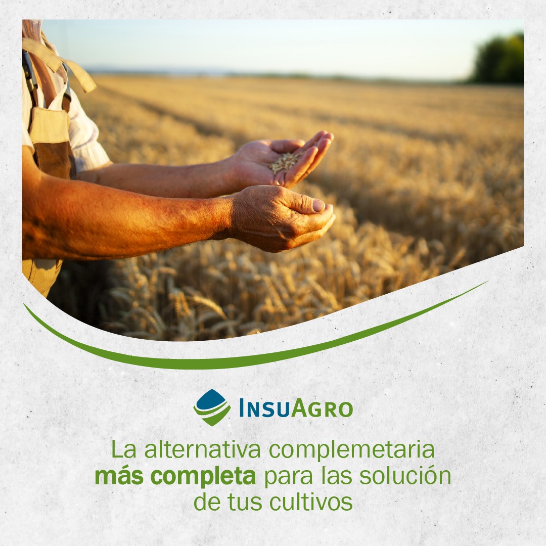 InsuAgro es una empresa que desde hace 20 años brinda soluciones para cada una de las problemáticas que afectan a la agricultura de hoy. Contamos mas de 50 registros de productos propios y de terceros. Mas info en nuestra web 💻