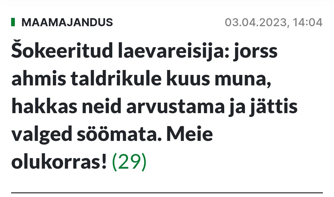 kaupomeiel's tweet photo. No comm.
#maaleht https://t.co/sSx11aQrV0