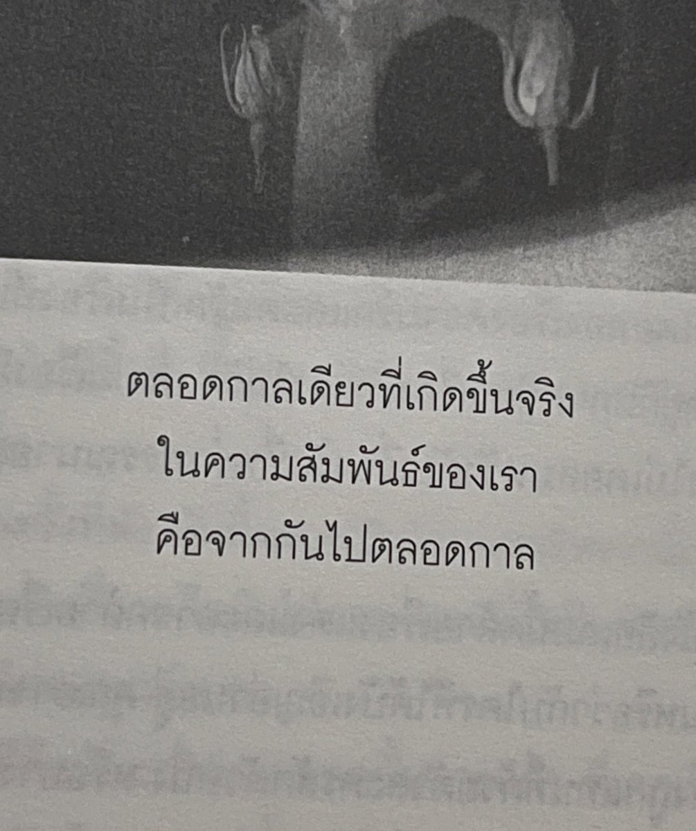& tweet media