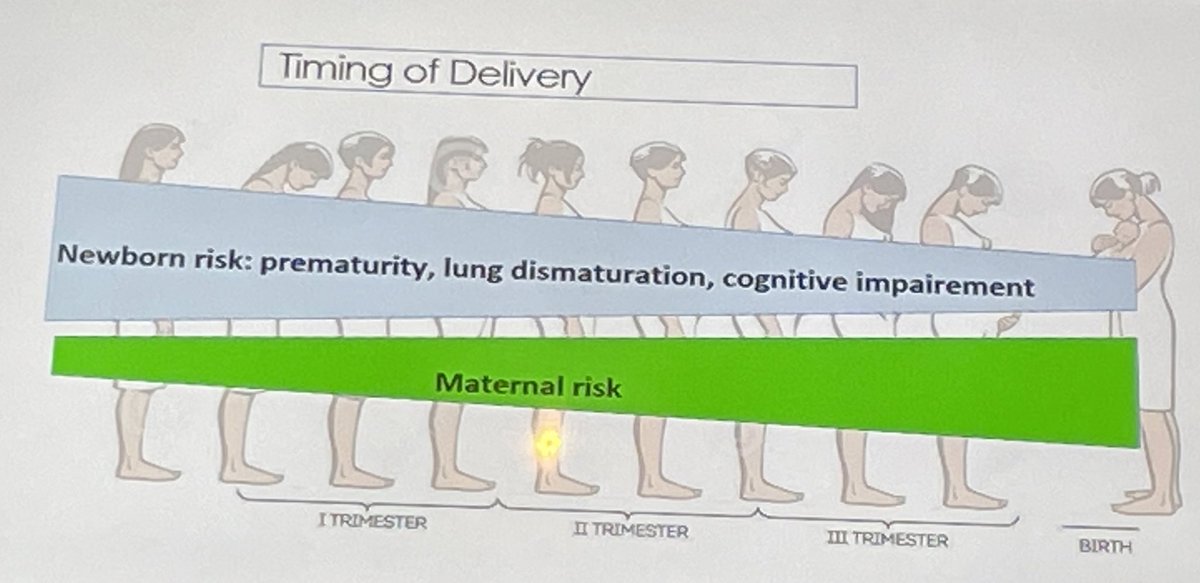Roberto Cosentini (@rob_cosentini) on Twitter photo Heart problems in pregnancy with dr paolo ferrero
➡️ Epidemiology, Hemodynamics, & Drug effects are dynamic
➡️ Newborn and maternal risk vary according to timing of delivery
<a href="/SIMEU_EM/">SIMEU</a> <a href="/Co_SMEU/">COSMEU</a> <a href="/isabelle_isii/">Isabelle Piazza</a> @robertamarino77 <a href="/AbdoKhoury00/">Abdo KHOURY</a> <a href="/carenzmd/">Luca Carenzo</a> <a href="/docjmaga/">Giacomo Magagnotti</a> Heart problems in pregnancy with dr paolo ferrero
➡️ Epidemiology, Hemodynamics, & Drug effects are dynamic
➡️ Newborn and maternal risk vary according to timing of delivery
<a href="/SIMEU_EM/">SIMEU</a> <a href="/Co_SMEU/">COSMEU</a> <a href="/isabelle_isii/">Isabelle Piazza</a> @robertamarino77 <a href="/AbdoKhoury00/">Abdo KHOURY</a> <a href="/carenzmd/">Luca Carenzo</a> <a href="/docjmaga/">Giacomo Magagnotti</a>