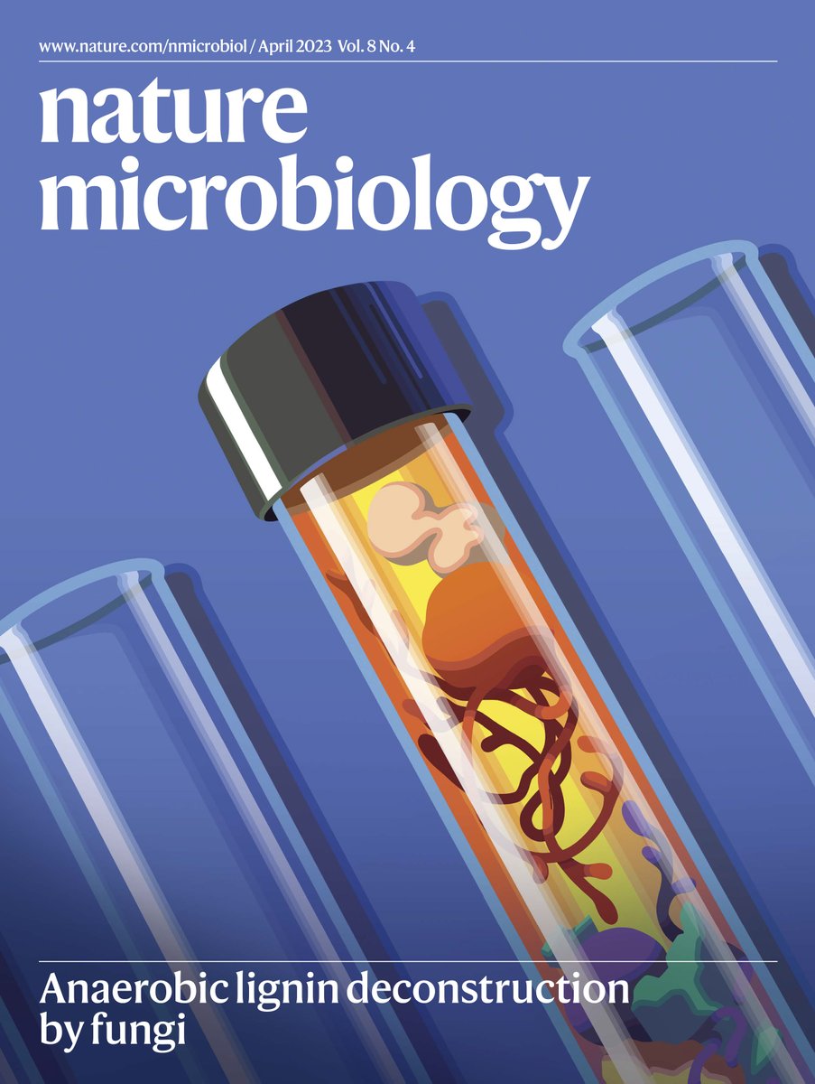 Our April issue has gone live!

🍄Anaerobic fungi break down lignin
🔬Enterovirus extrusion from colonic organoids
🌊Hydrogen and microbial growth in the ocean
🛑Granuloma control of Yersinia infection
💉Contractile injection systems in Streptomyces

nature.com/nmicrobiol/vol…