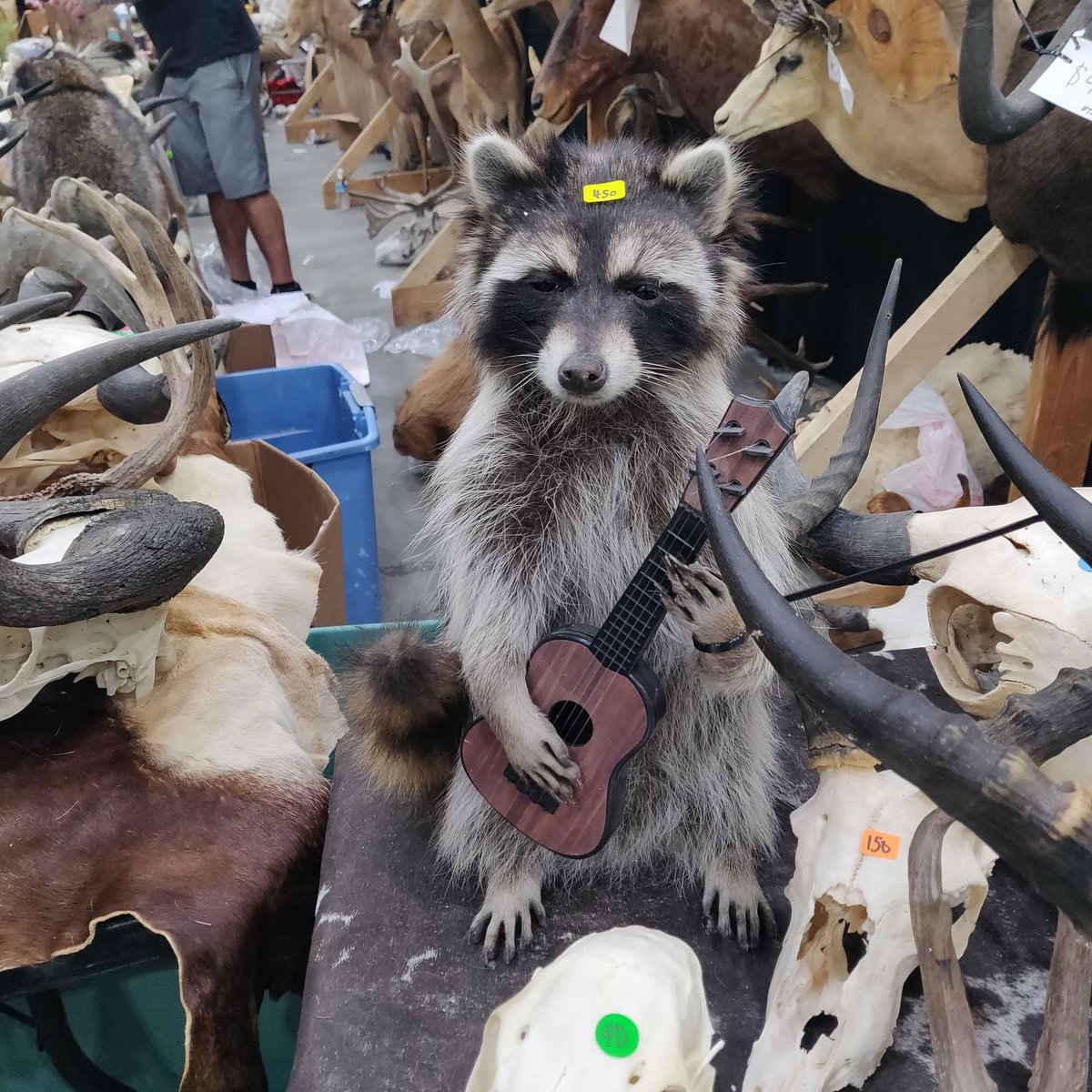rachelisalien's tweet photo. Ran into a couple of you cuties at the Oddities and Curiosities show in GR over the weekend!! 🖤🖤 If you also went, what weird things did you get? 😈 https://t.co/aafazep3ez