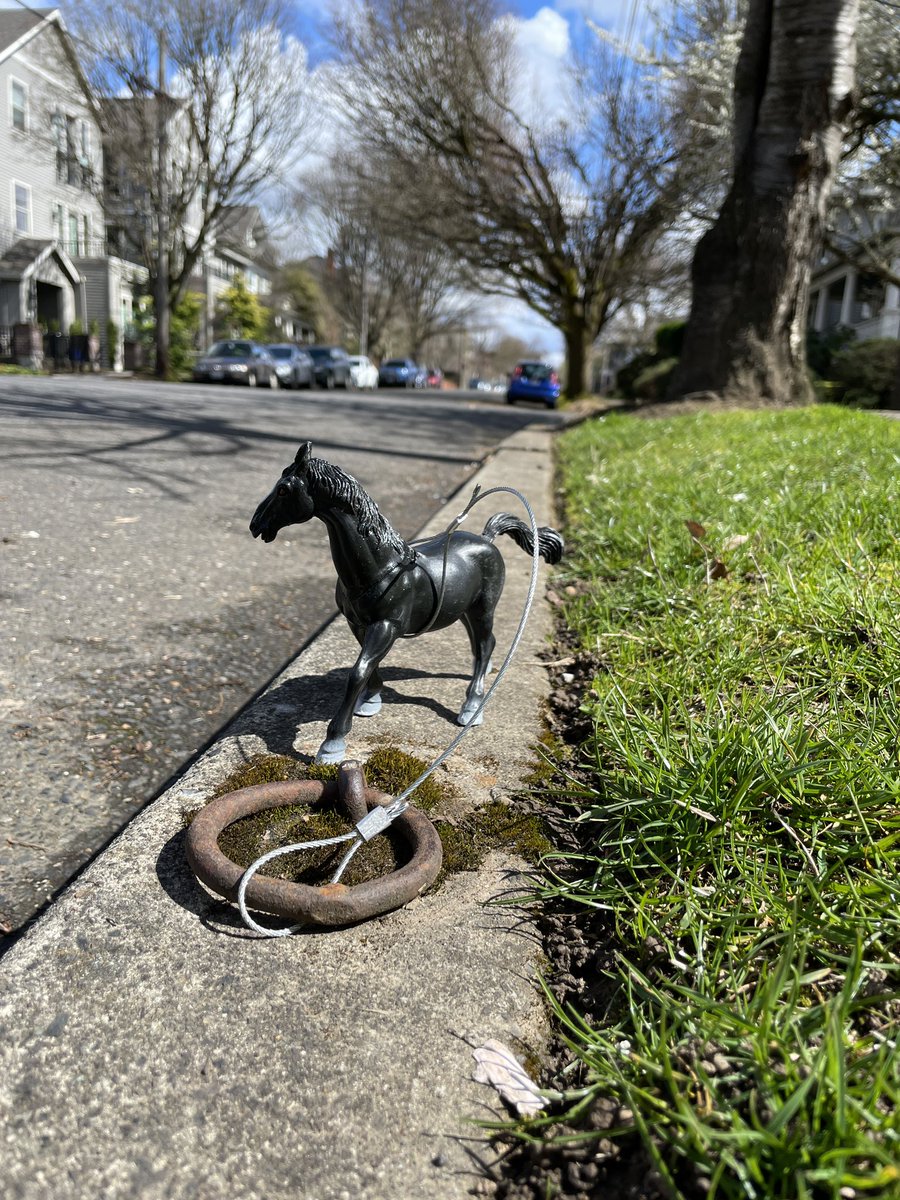 39forksPub's tweet photo. Launching the #PortlandHorseProject photo book on @Kickstarter very soon! Stay tuned! https://t.co/RpgCS3AfaM