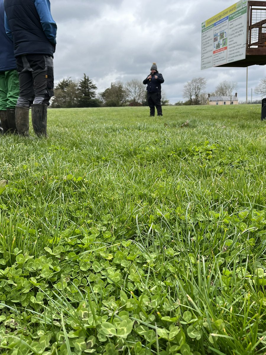 PastureBase's tweet photo. A very successful kick off to the #cloverwalks thanks to the O Connell family, Co.Cork today ☘️ 

Thanks to @TeagascCorkEast Adrian O Callaghan, DairygoldJP advisor @childs_stuart, @TeagascGrass10s John Maher and grassland researcher @hennessydeirdre! 

https://t.co/8hkfQObWqe https://t.co/sMjci1YGuN