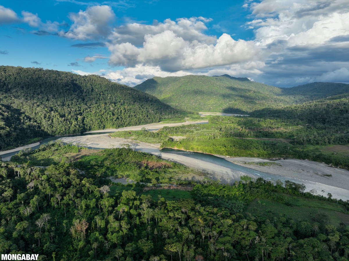 1/ Attention Mongabay community! On March 15, 2023, we lost access to our main Twitter account.

@Twitter + @TwitterSupport have not been responsive in our efforts to regain access to our account so we do not know when or if we will be able to use the @Mongabay handle again.