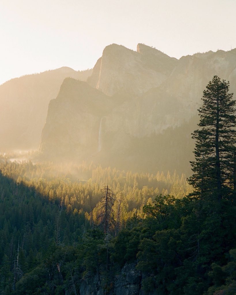 jakob_lr's tweet image. Gm from Yosemite 🎞️