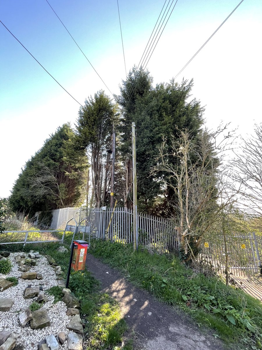 Miss_N15's tweet photo. @YWHelp How can I get help with some overgrown trees (on your land) blowing dangerously close to our power line? The gap on the first two pictures is where two came crashing down very close to our fence last year (see last two pictures). https://t.co/JrQvQXnDn1