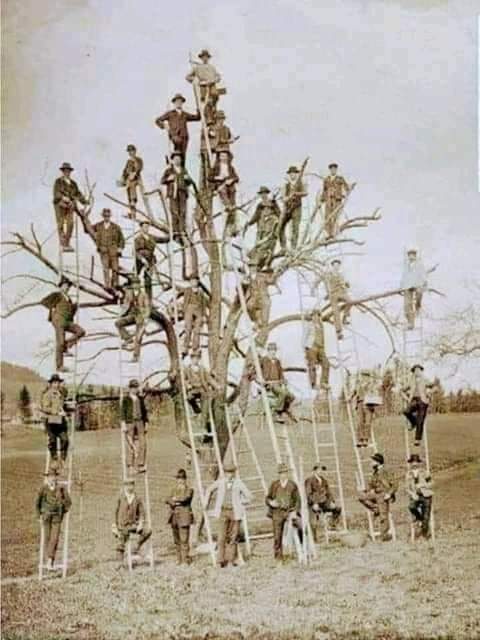 ¡IMPRESIONANTE!

Sabías que... Para nacer necesitamos:
2 Padres
4 Abuelos
8 Bisabuelos
16 Tatarabuelos
32 Trastatarabuelos
64 Pentabuelos
128 Hexabuelos
256 Heptabuelos
512 Octabuelos
1024 Eneabuelos
2048 Decabuelos

Solo el total de las últimas 11 generaciones, fueron necesarios