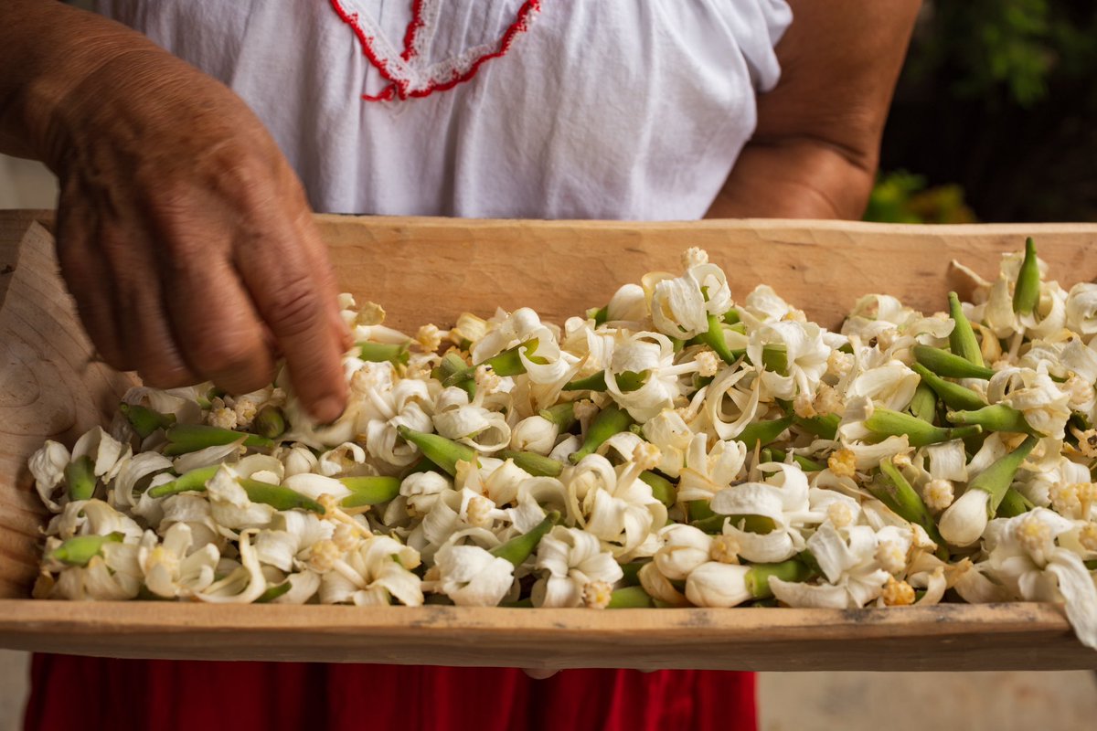 La dedicación para hacer un tejate de calidad, con sabor único y delicioso debe valorarse, ponderando el esfuerzo de las tejateras, quienes conservan nuestro patrimonio y tradiciones 
gastronómicas.  #tejate #oaxaca