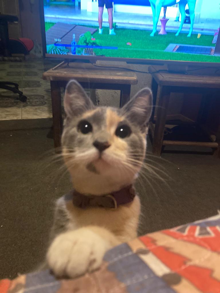 bendrake (@bendrake0) on Twitter photo 