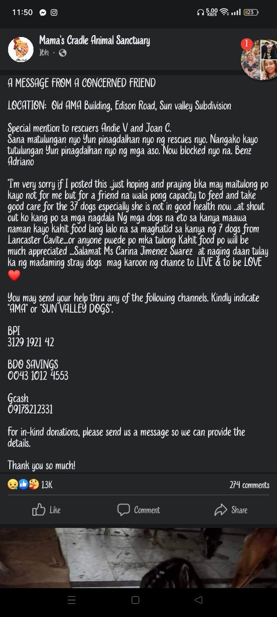 iamapryl1989's tweet photo. Hi guys 🥺🥺 nakita ko lang na post sa FB ko baka may gustong tumulong sa kanila 😭😭😭 nandyan yung list ng way na pwede niyong pag donatan 🥺🥺 they need our help badly
#mansbestfriend
#helpsavedogs https://t.co/t9ChVZCfLM