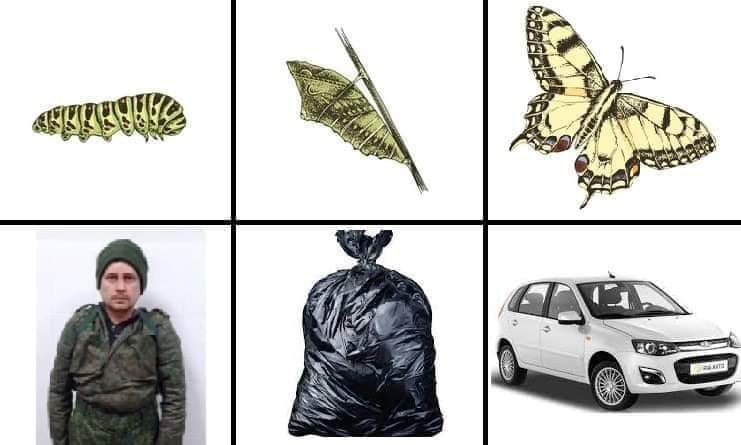KorsasErik's tweet photo. New #Russian biology textbooks show Russian children how evolution works on #Earth.
The example shows the evolution of #butterflies and #Russianmen.
Russian men are a real asset to Russian families longing for a new car.
#NAFO #Tatarsky #RussianArmy #NATO #UkraineWar #Putin https://t.co/reIsIf8utC
