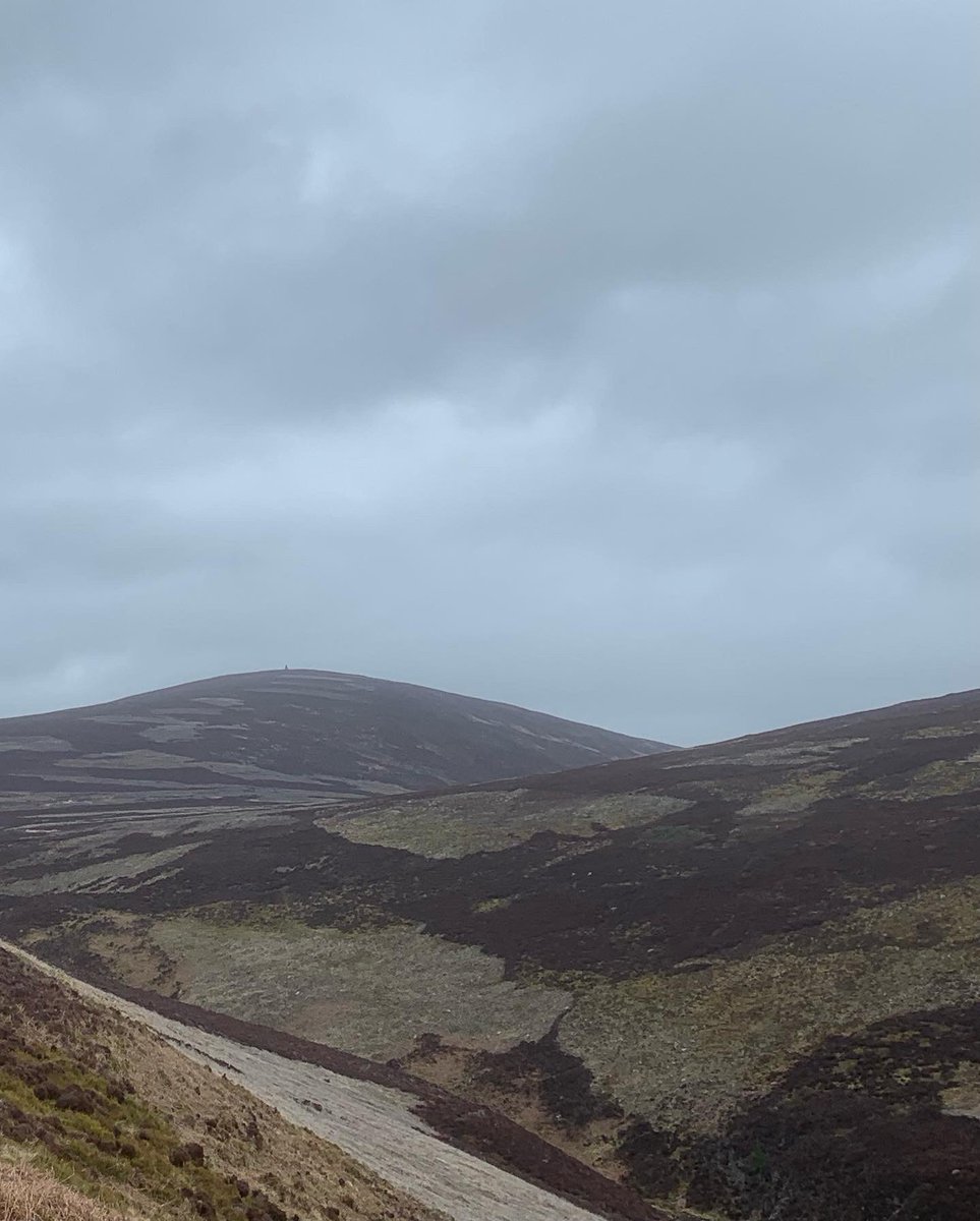 DMK_17's tweet photo. Had a wander up Carnferg yesterday @lesleycg - only saw two folk. Was so good to be out. Cloudy but still views aplenty #hills #walking #getoutside https://t.co/AfzBsgU54h