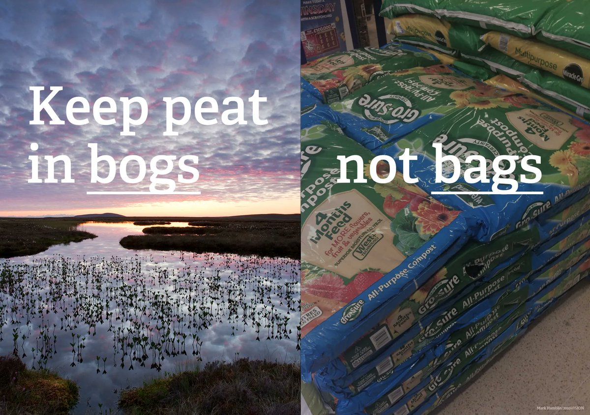 Peatlands are important. They’re amazing, wild places which are home to rare and unusual wildlife. They are the UKs biggest carbon store and can reduce the risk of flooding. 

Show that you #LOVEpeat and go peat-free this spring 👇 

buff.ly/42YnqdQ

#NaturalSolutions