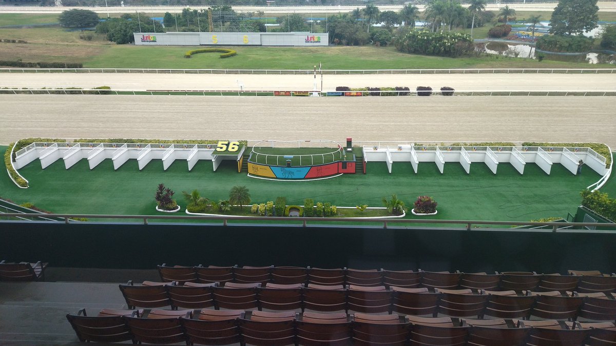 PedroRojas_56's tweet image. Reunión #13 se estarán realizando los clásicos, en honor a FEDERICO CARMONA PERERA (GRADO II) PEGGY AZQUETA (GRADO II) JUAN VICENTE TOVAR (GRADO III) MANUEL FONSECA ARROYAL (GRADO III) más "SIETE"  competencias, Hipódromo La Rinconada. #hipico #hipismo