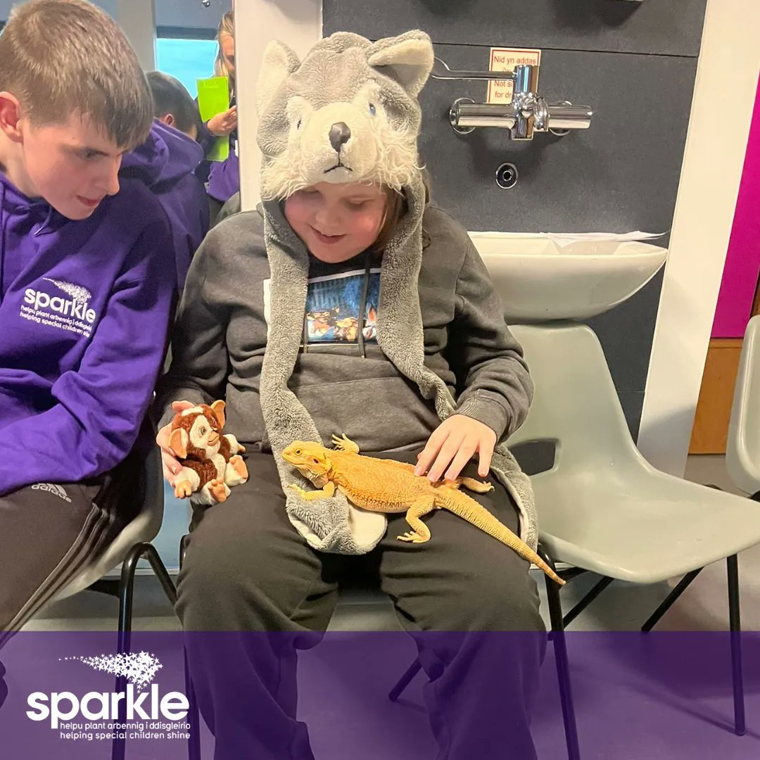 sparkleappeal's tweet photo. Some more pictures of our children and young people enjoying some quality time with the creatures kindly brought to us by Animals Interactive... π¦π¦π¦π’
#HelpingSpecialChildrenShine #SparkleAppeal #Sparkle #Fundraising #Charity #Newport #Serennu #AnimalsInteractive https://t.co/F8EFPIC2Jl