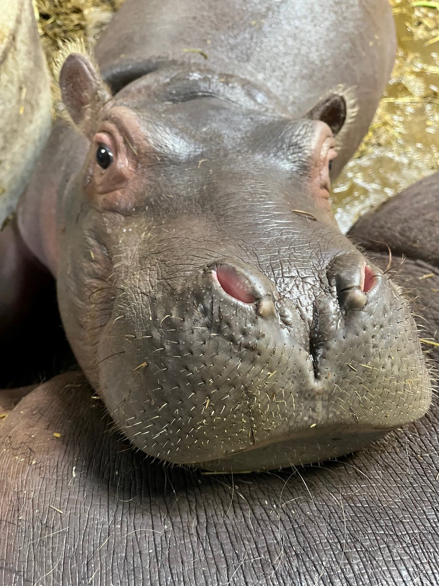 Cozy Monday featuring baby Fritz! #MondayMood