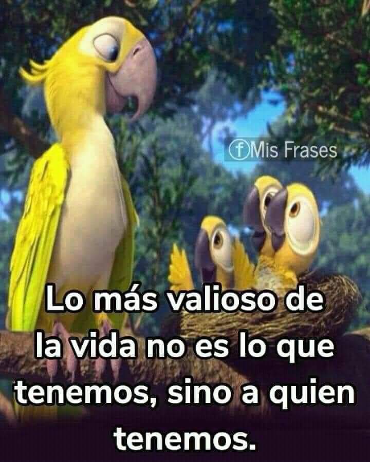 Buenos días a todas (@)