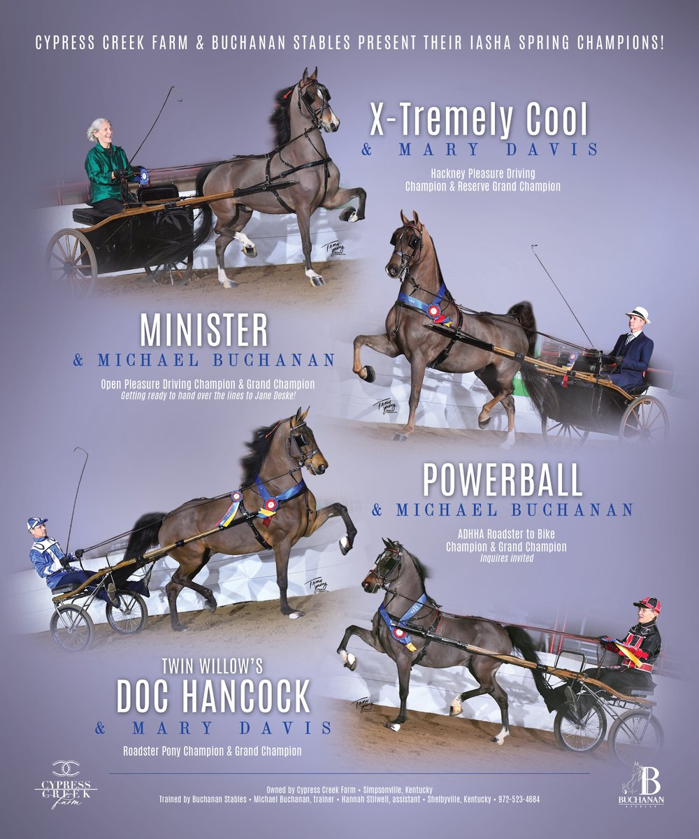 TNH1865's tweet photo. #nationalhorseman #iashaspring #marydavis #michaelbuchanan #cypresscreekfarm #buchananstables #hackneypleasuredriving #openpleasuredriving #roadstertobike #roadsterpony https://t.co/Tf2iO1X761