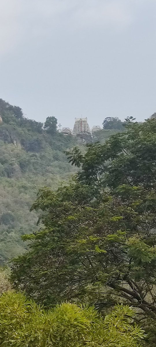 #Bliss #Tirumala #LordVenkateshwara