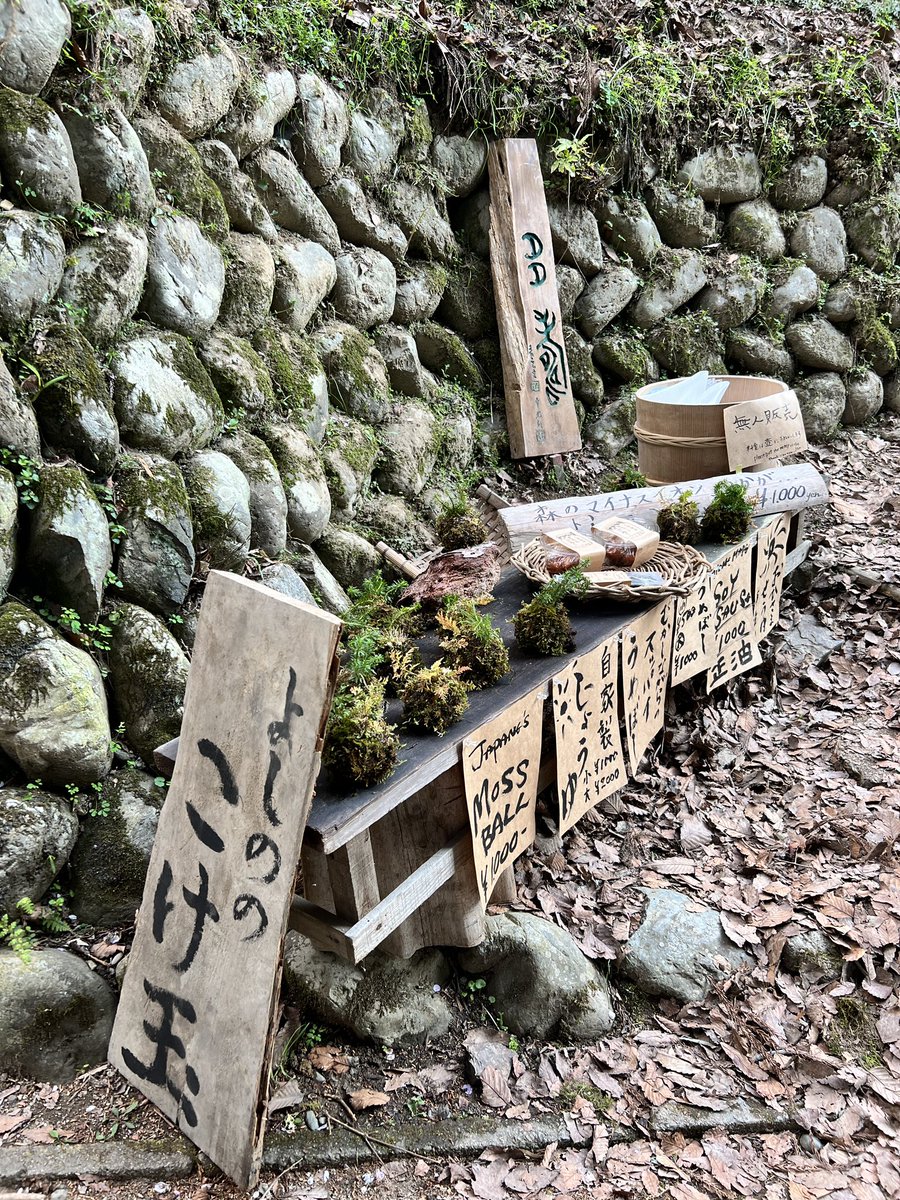 RiaRiverSD's tweet photo. I picked up some white tea leaves from this roadside market on our *beyond breathtaking* day trip today. Can’t wait to try it out when I get home. I like to drink my tea in good company. Care to join me? Reach out 😘 https://t.co/Tvo5D7xQu9