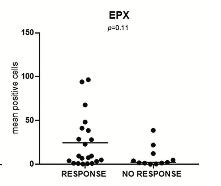 GustavoVillold4's tweet photo. Is Th2-score a accurate predictive biomarker of response to #BCG in patients with #HRNMIBC?
Thx @MDAndersonNews @UroDocAsh Dr SupriyaNagaraju and all @IAF_Fleming members.  @urotoday @OncoAlert @ResidentesCAU @Blatam_urology @IBCG_BladderCA @IBCN1997 @marigfern @fundacion_FUCA https://t.co/tg823b94x4