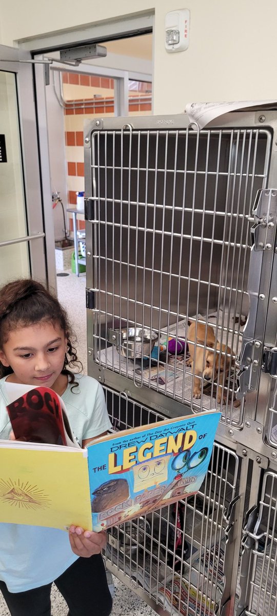 joetedesco77's tweet photo. Enjoying watching our @nisdlieck Ss care for the animals by reading to them here at the Humane Society on Fredericksburg road.Our third grade students are enjoying their reading.

@sahumane 
@NISD @NISDLieck https://t.co/5Z1IbOPS5H