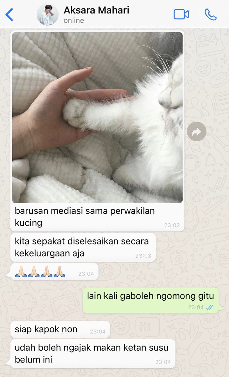 seokjinjuseyyo's tweet photo. kucing > diri sendiri https://t.co/DV8rgvv9wQ