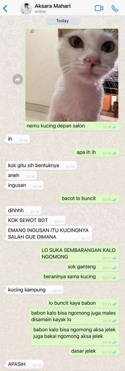 seokjinjuseyyo's tweet photo. kucing > diri sendiri https://t.co/DV8rgvv9wQ