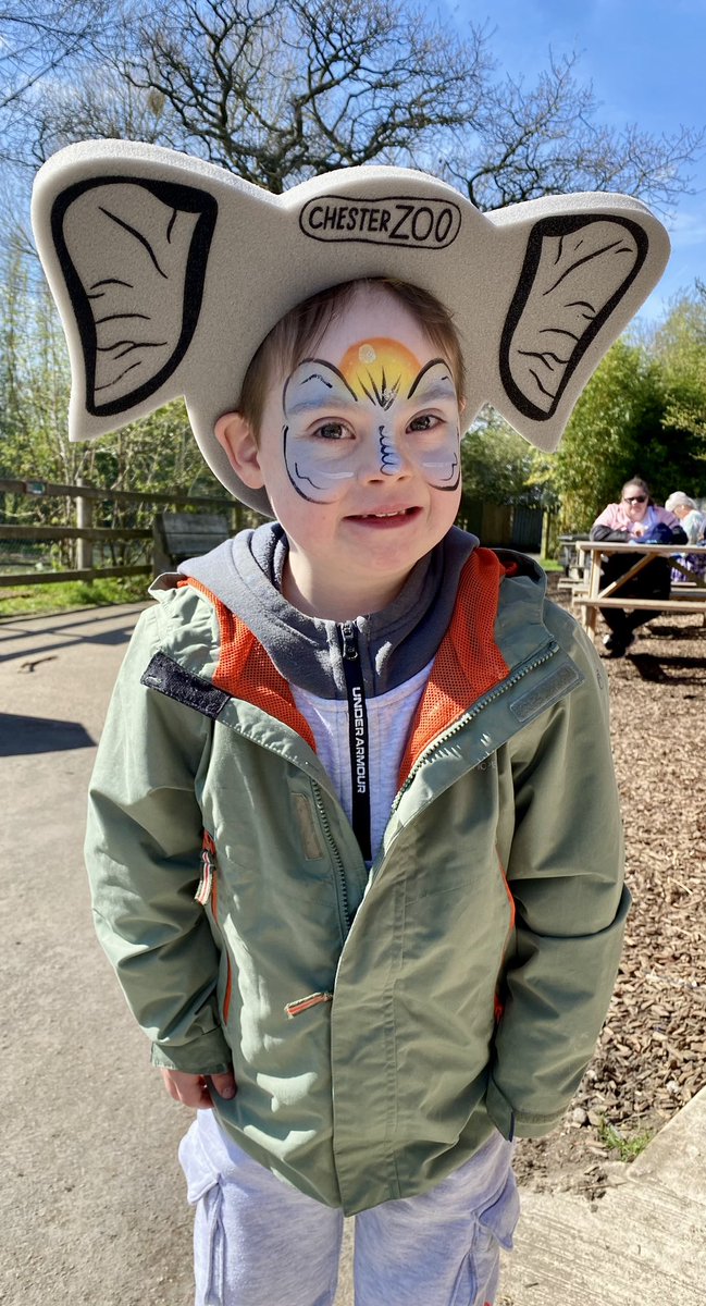 mummyanddowns's tweet photo. I went to @chesterzoo today and came home with an #elephant 😎 https://t.co/8JjvqdeZWK