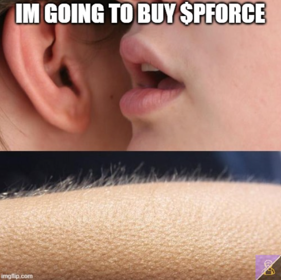 GforcePforce's tweet photo. Happy week fam! 

What would you most like your girlfriend or boyfriend to whisper you?

This #meme answers my question 🥰

#PolyFORCE #FORCE #Memes #BTC https://t.co/R9YCHmNIMm
