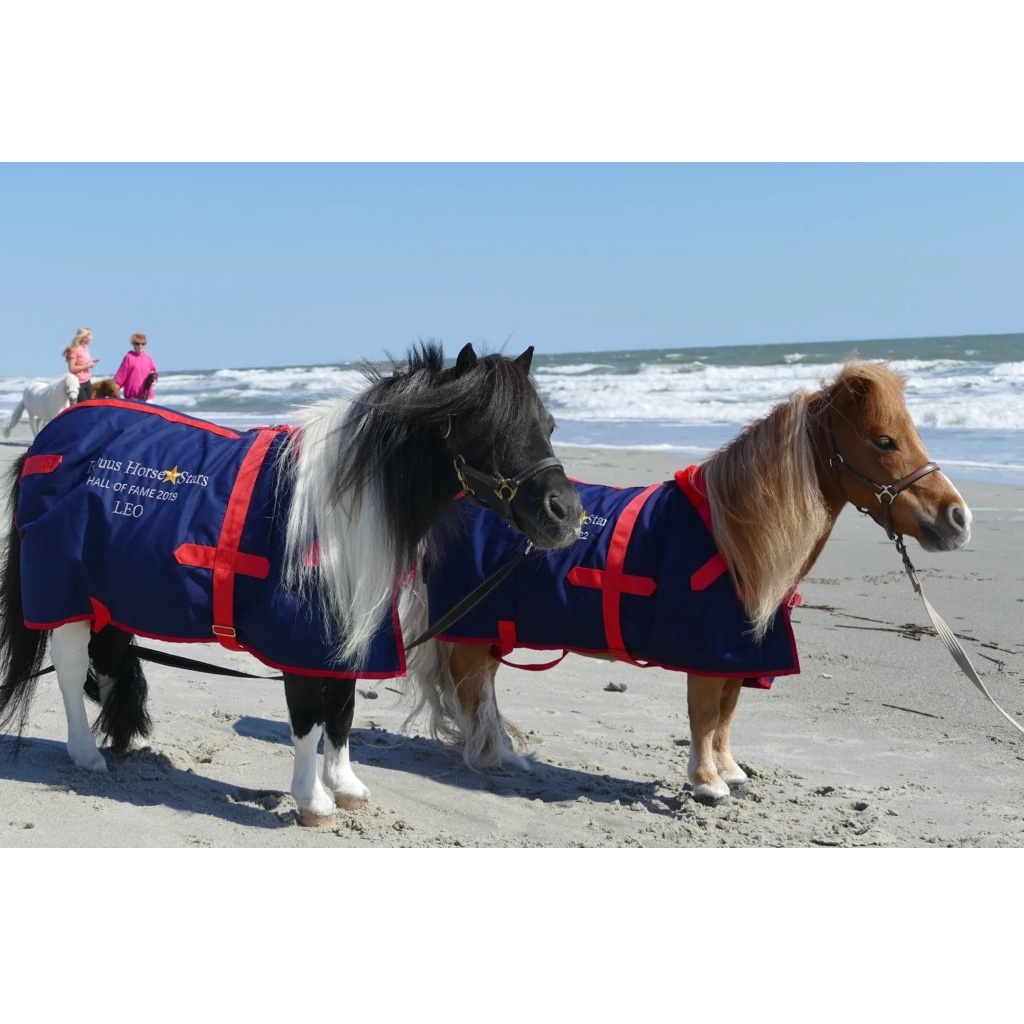 TUESDAY 4/4 from 11am-1pm at The Corner on Centennial—TINY HORSES!

Join Prevention Services and therapy mini horses from Stampede of Love. Stop by for some relaxation and socializing at The Corner on Centennial Campus. Take a break from your studies and relax with the horses!