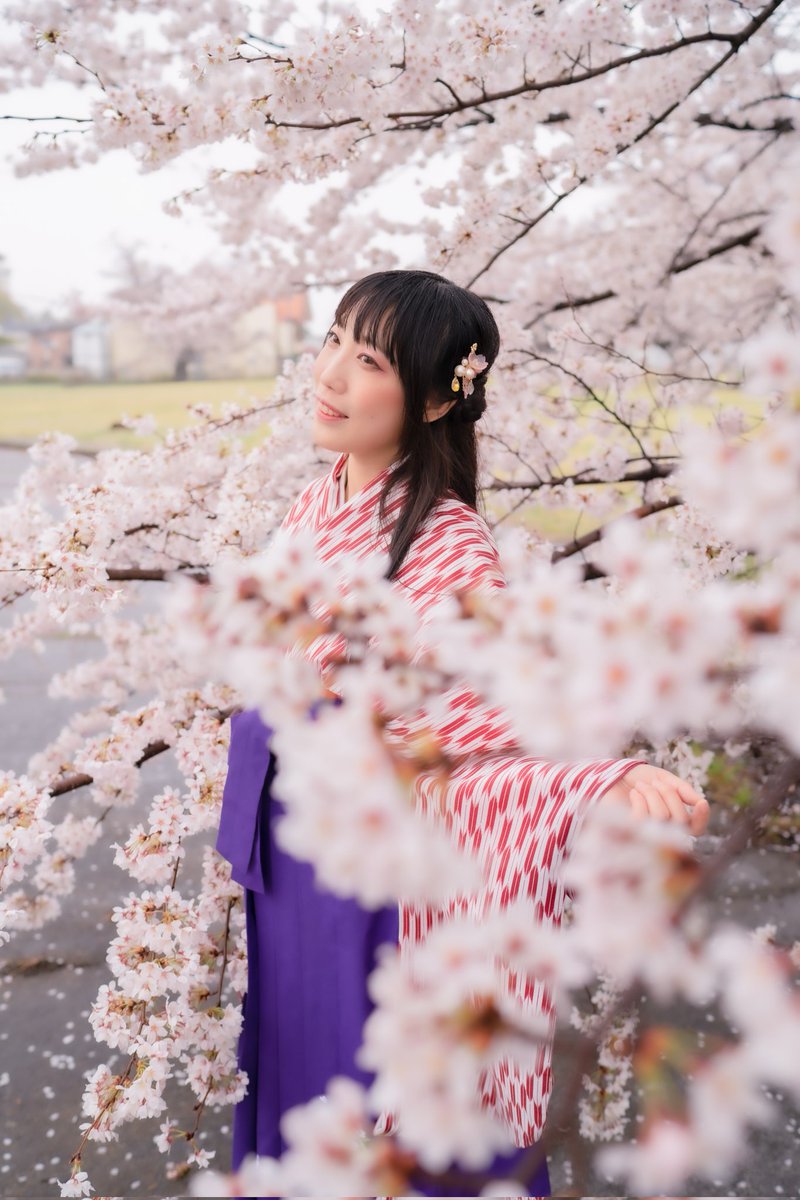 flayspid_cam's tweet photo. 桜ポートレート
衣桜ぽぷりさん https://t.co/O29GtvDVv5