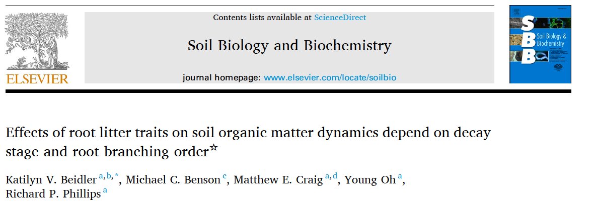 RichPhillipsLab's tweet photo. Roots influence soil C, but which traits best predict MAOM formation? Do traits that increase MAOM also accelerate decay via priming? Are there diffs between AM-ECM absorpt-transprt roots? @BeidlerKatilyn @NextGenShovel @502rules &amp; M. Benson have answers.  https://t.co/6bIGS6K7Iy https://t.co/kHsm3edqXa