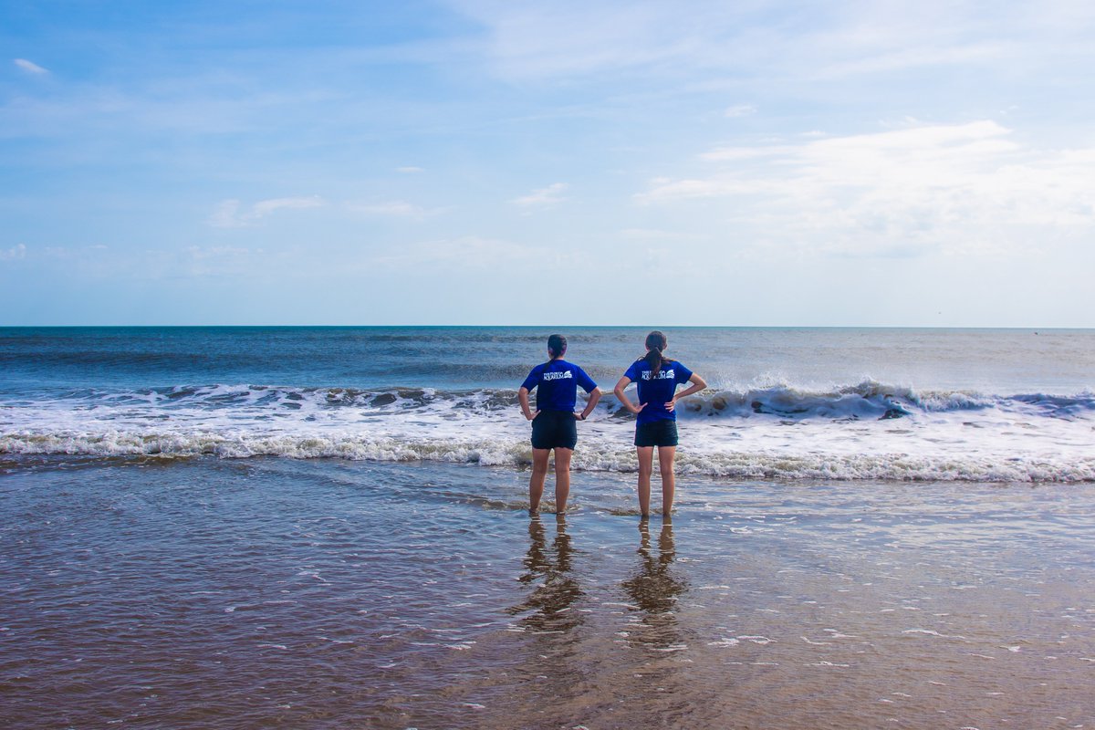 floridaaquarium's tweet photo. Find your #MondayMotivation with some exciting news from The Florida Aquarium! Our team released three rescued Kemp's Ridley sea turtles back into the ocean!

Staff brought Stevie, Sully and Echo to St. Augustine to round out another successful rescue story. Thanks to the dedicated efforts of our team, these turtles received the medical and supportive care needed to make a full recovery from the effects of a cold stun event in Cape Cod, Massachusetts last December.

Shoutout to the partners that came together for these turtles (and the larger group they were a part of): @NEAQ @turtles_fly2 @MyFWC @NOAA @FLStateParks 

All sea turtle rehabilitation work conducted by The Florida Aquarium is done with the approval of the Florida Fish and Wildlife Commission (FWC) under conditions not harmful to marine turtles and authorized under conservation activities pursuant to FWC MTP-23-179.