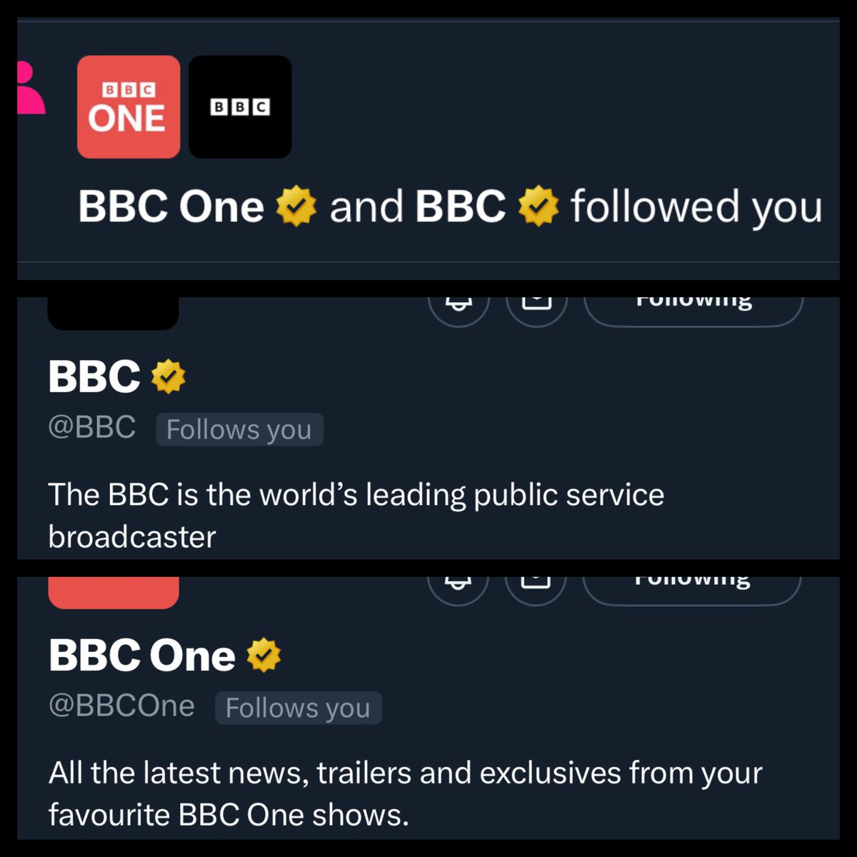 Today, we reached one of our personal goals. 🥳

-Being followed by the BBC.

It still feels like a dream but from the bottom of our hearts, thank you. 🥹❤️

Managing this account since its creation in December '22 has been an absolute pleasure and I'm very excited to see where
