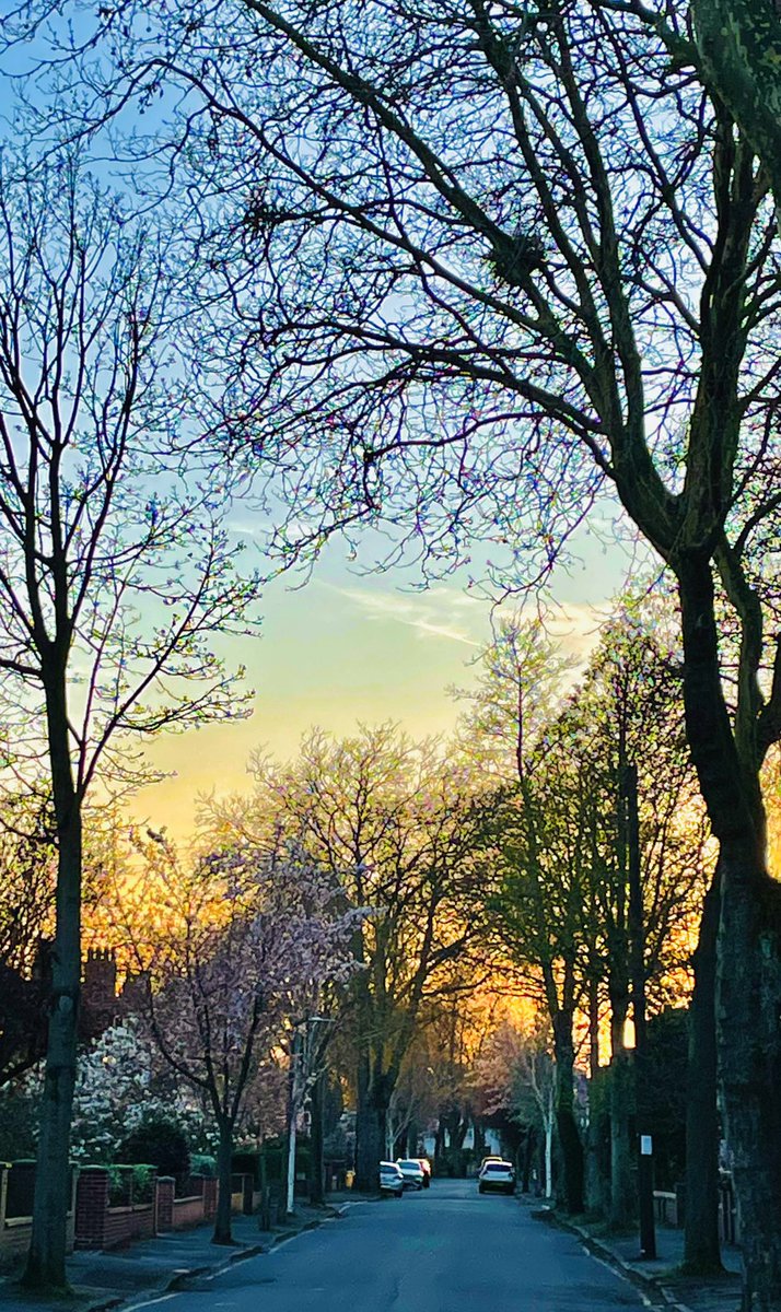 Mcr’s beating heart to its sleepy suburban edge in under 2 hours 🚶‍♂️. A big, growing city but still relatively compact and walkable