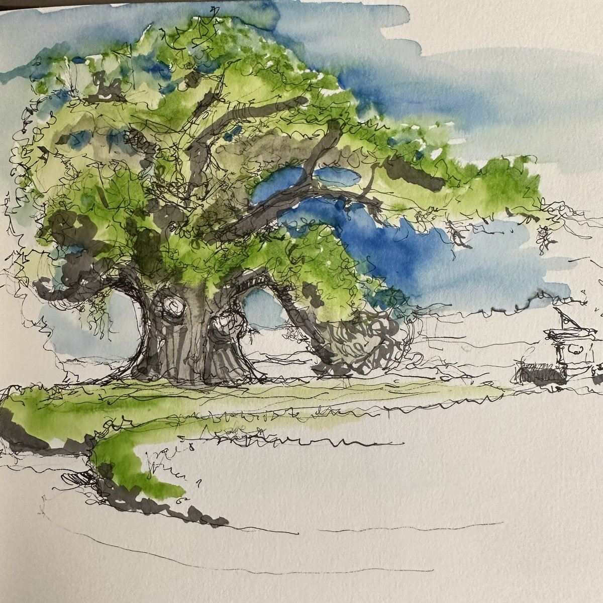 It was a great day in #charleston to sit and #sketch the #Middletonoak 
.
.
.
.
.
#art #illustration #doodle #draw #drawing #sketchy #watercolor #ink #lowcountry #middletonplace #southcarolina #travelsketch #sketchbook #ink #watercolor #sketchesbyarchitects