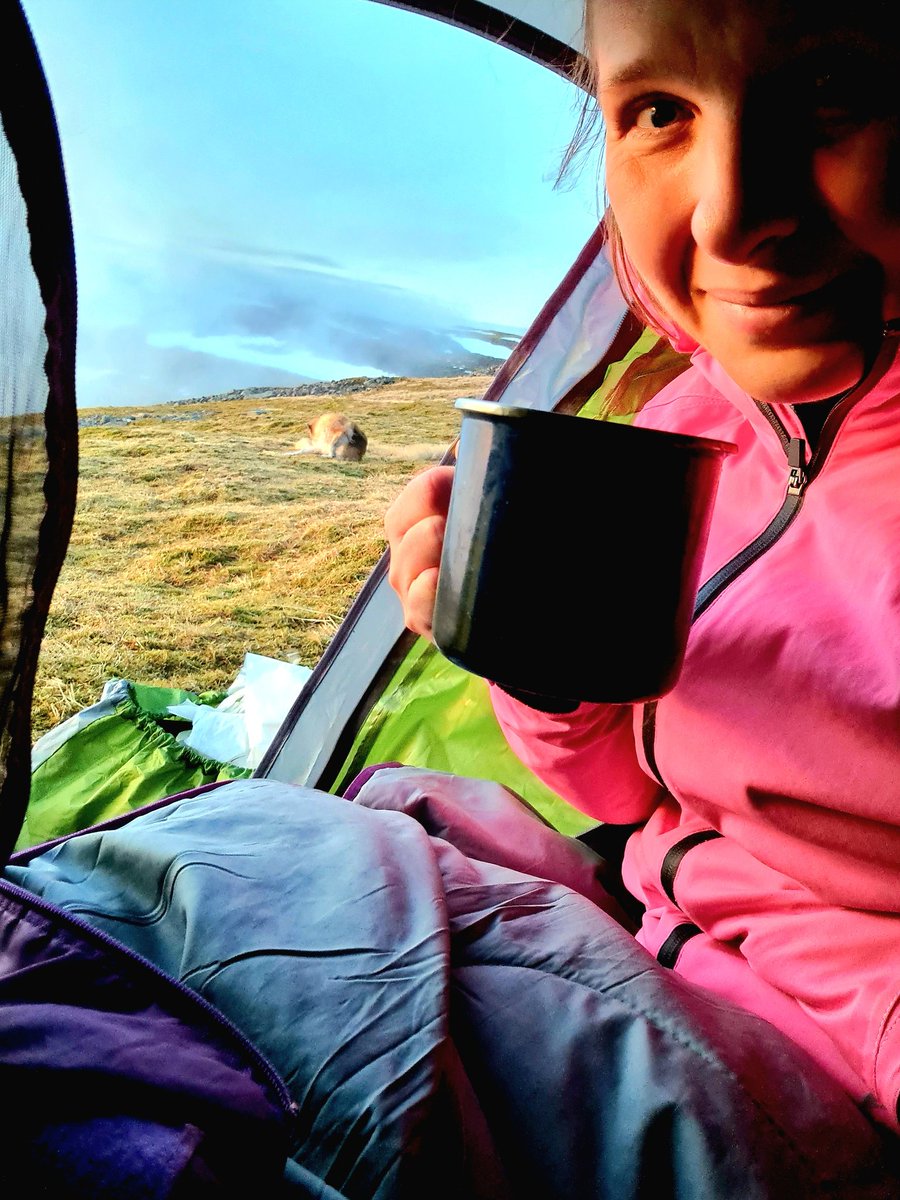 teacherofrebels's tweet photo. Sunrise. Coffee never tasted better! #outdoors https://t.co/qLQRQn0VQB