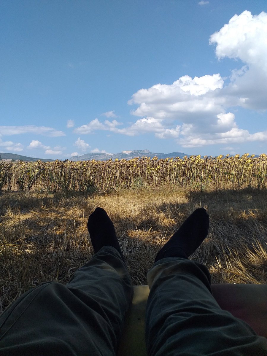 Yaban hayatının içinde olmayı beceremiyorsan,becerene saygı duy. #DKMP ye ödediğimiz avlanma pul bedellerinin karşılığı doğaya yaban hayatına dönmüyor. Benim yaban hayatına dönmesi için ödediğim para köpek barınağına, köpek mamasına harcamayın. <a href="/TCTarim/">T.C. Tarım ve Orman Bakanlığı</a> <a href="/VahitKirisci/">Prof.Dr.Vahit Kirişci</a>