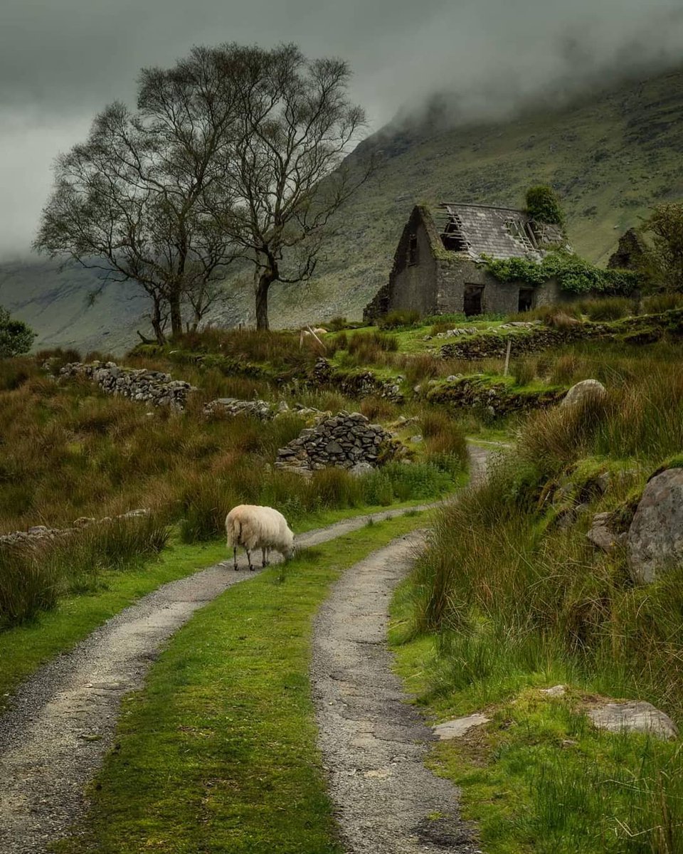 sscjusa's tweet photo. He was pierced for our sins, crushed for our iniquity.
He bore the punishment that makes us whole, by his wounds we were healed. We had all gone astray like sheep...But the LORD laid upon him the guilt of us all...Like a lamb led to slaughter...he did not open his mouth. cf Is 53 https://t.co/FVYeKkEX6G