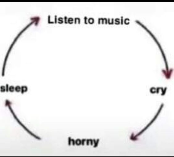 el círculo de mi vida