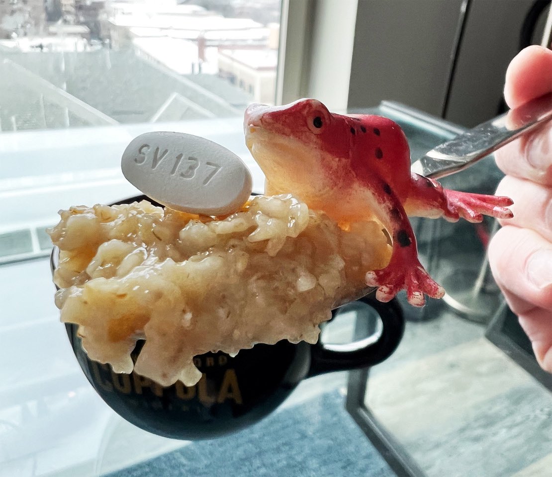RickGuasco's tweet photo. A glob of oatmeal with my #HIV medication.
.
#whatsforbreakfast #oatmeal #HIVpositive #AIDS #longtermsurvivor #normalizeHIV #photooftheday https://t.co/8RpSTEKTmw