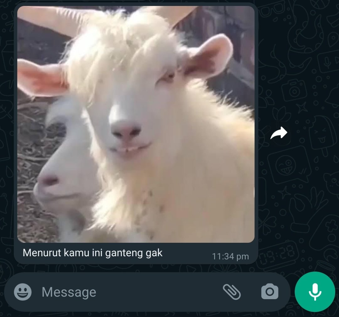 mahdinosaur's tweet photo. > cewe gua
> baru pulang dari bukber
> 5+ jam ngga chat
> https://t.co/fKRYdyEfbo