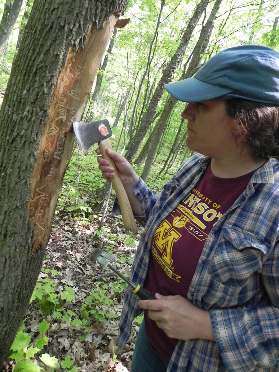 It is graduate student appreciation week and let me be one of the first to give my appreciation to a group of superb grad students in my lab. @UMNPlantPath has a long history of extraordinary students and the great students here now continue that tradition