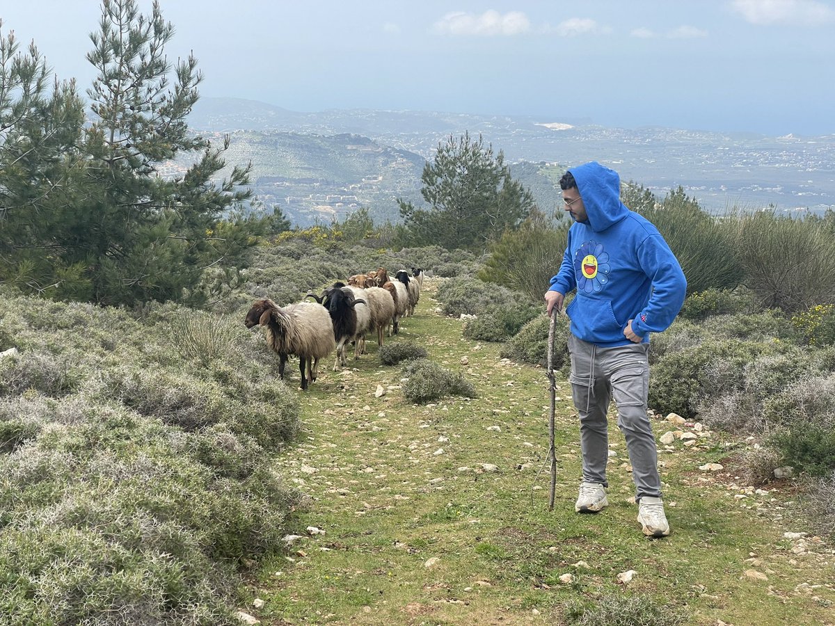 BabaMike_'s tweet photo. BaaAaaAaaa 🐐🐐 https://t.co/fftmWEN3uO