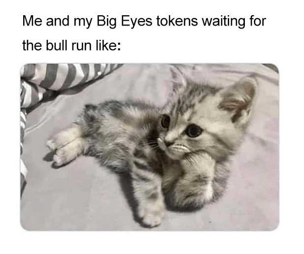 BigEyesCoin's tweet image. 🚀One cute kitty sitting pretty ready for the $BIG BULL RUN! Let's make it happen, #CatCrew! 🚀

😻Get an extra 250% on your $BIG shop when you apply the bonus code BULLRUN250😻

#BigEyesCoinToTheMoon #BigEyesCoin #memecoins #PreSale #Crypto #cryptocurrency