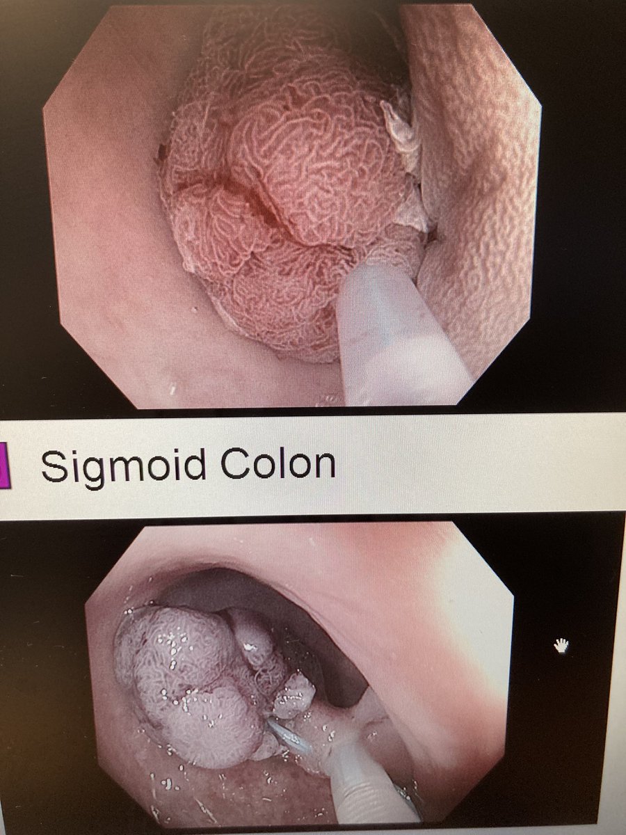 Shrinivas Bishu tweet media