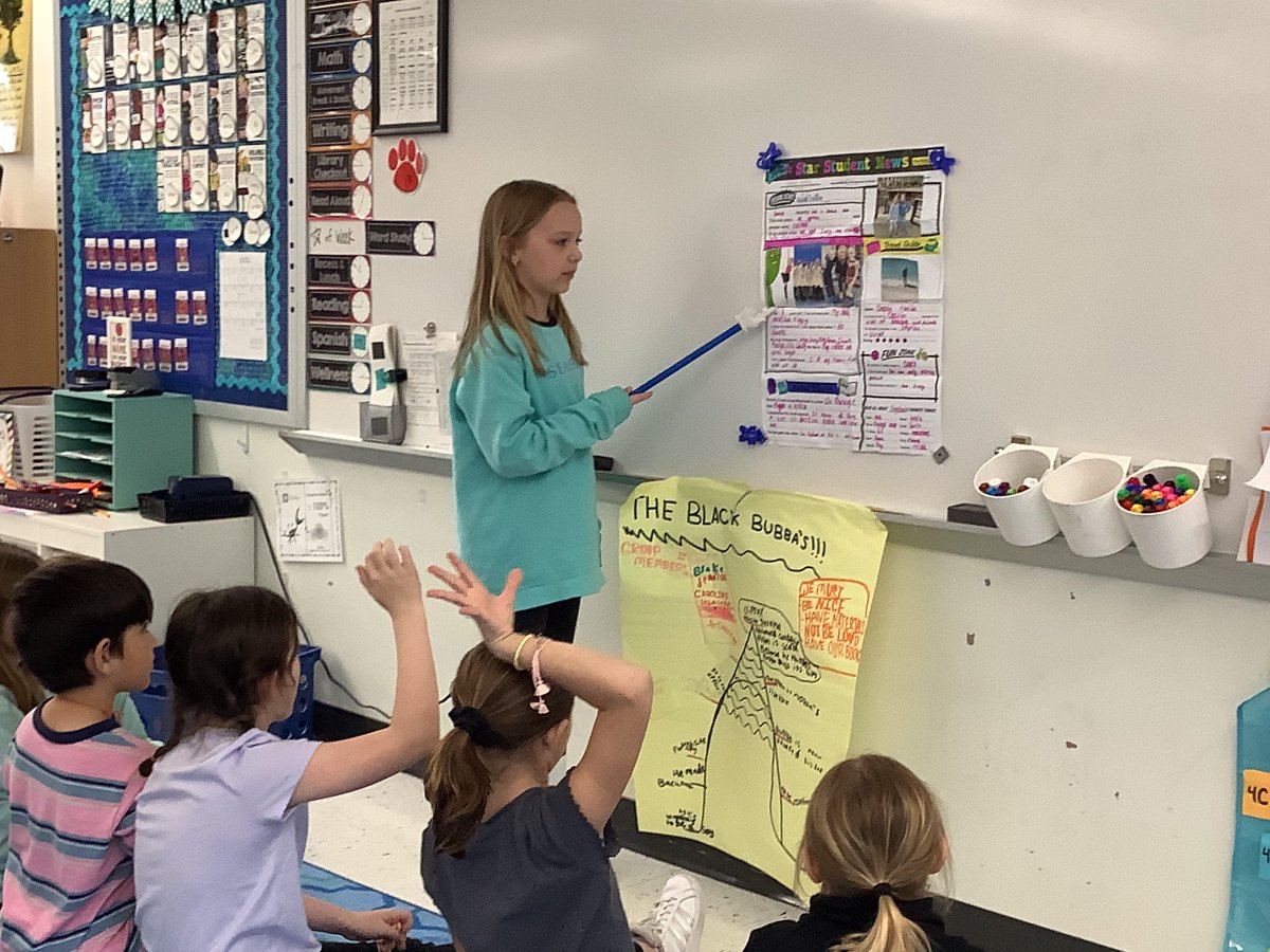 Kathleen Scheffer tweet media